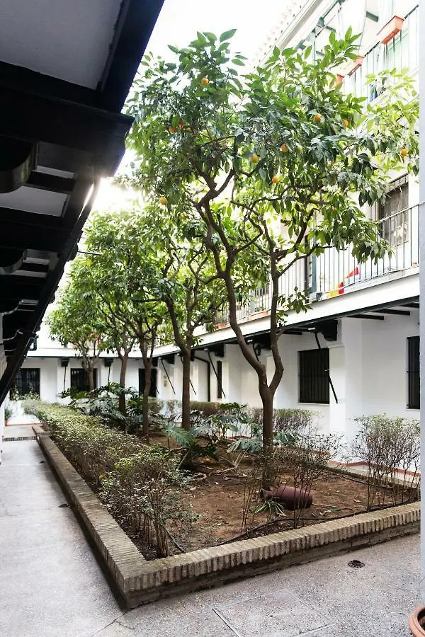 Apartamento Corazon De Sevilla 0*, 塞维利亚 西班牙